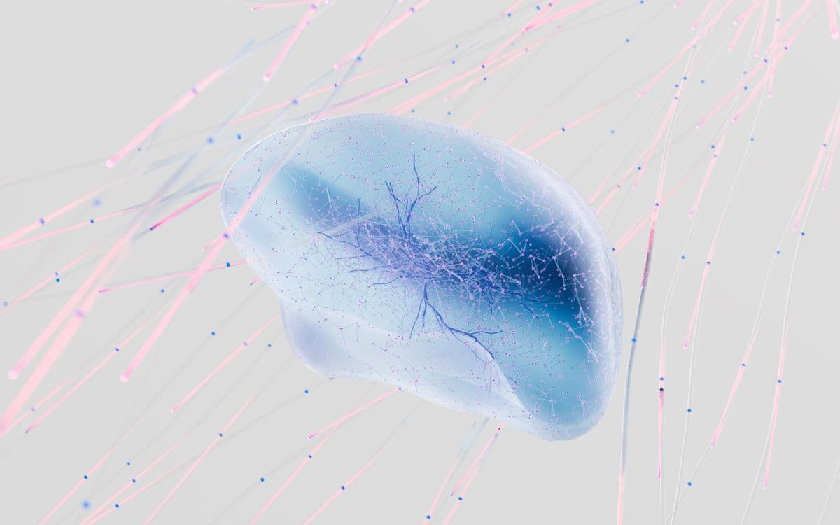 Abstract rendering of a neural network in soft colours